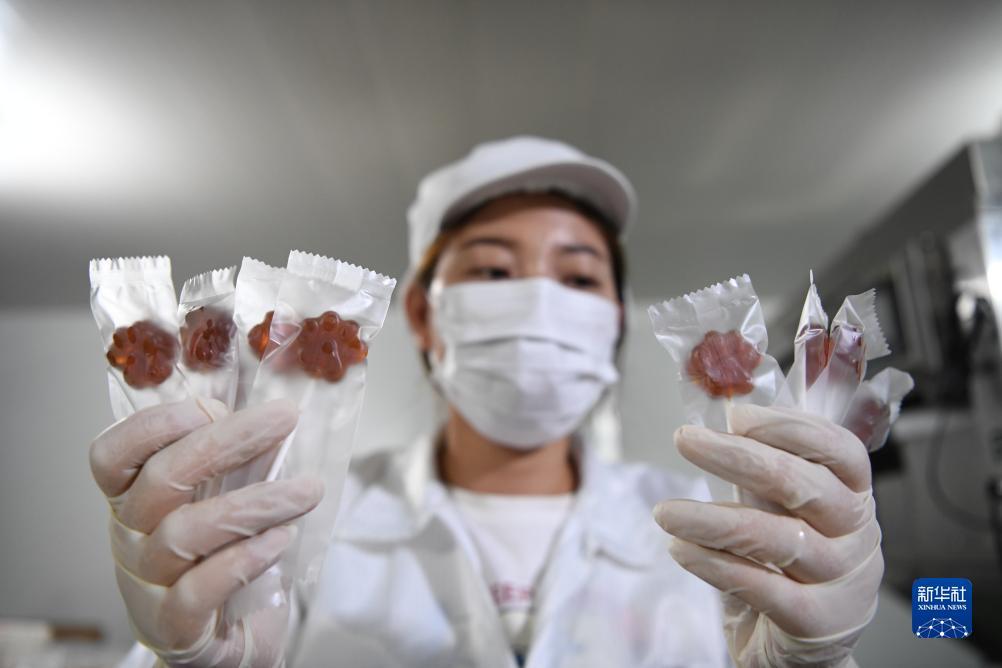 捕鱼大师无限金币